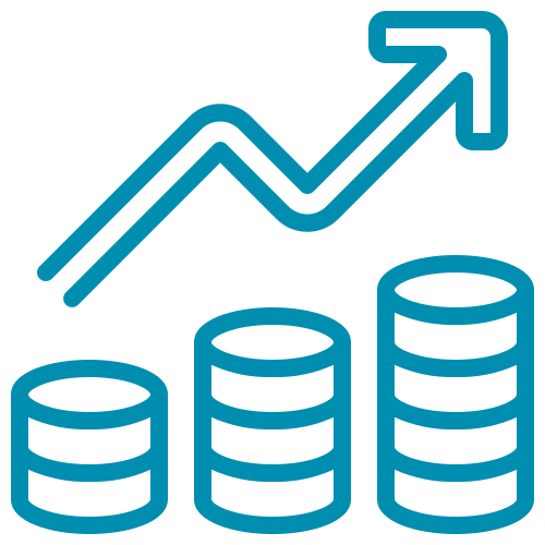 Investor