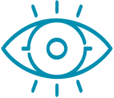 vision
